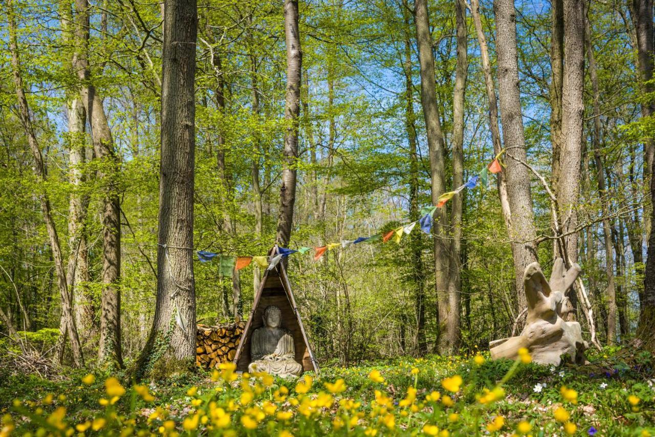 Gites Du Bois Des Perruches Saint-Vincent-des-Bois Exterior foto